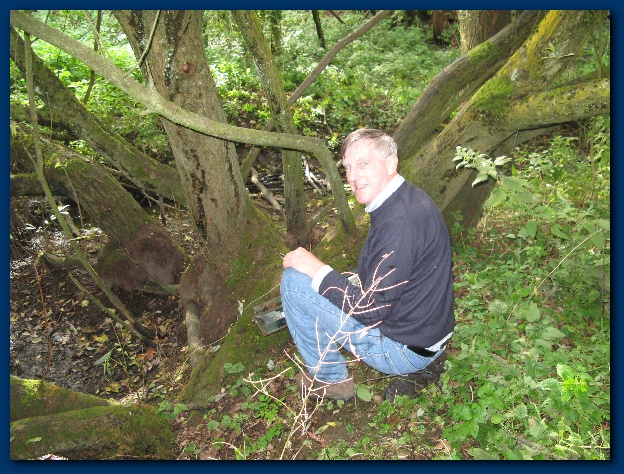 600x449 pixels (205K)